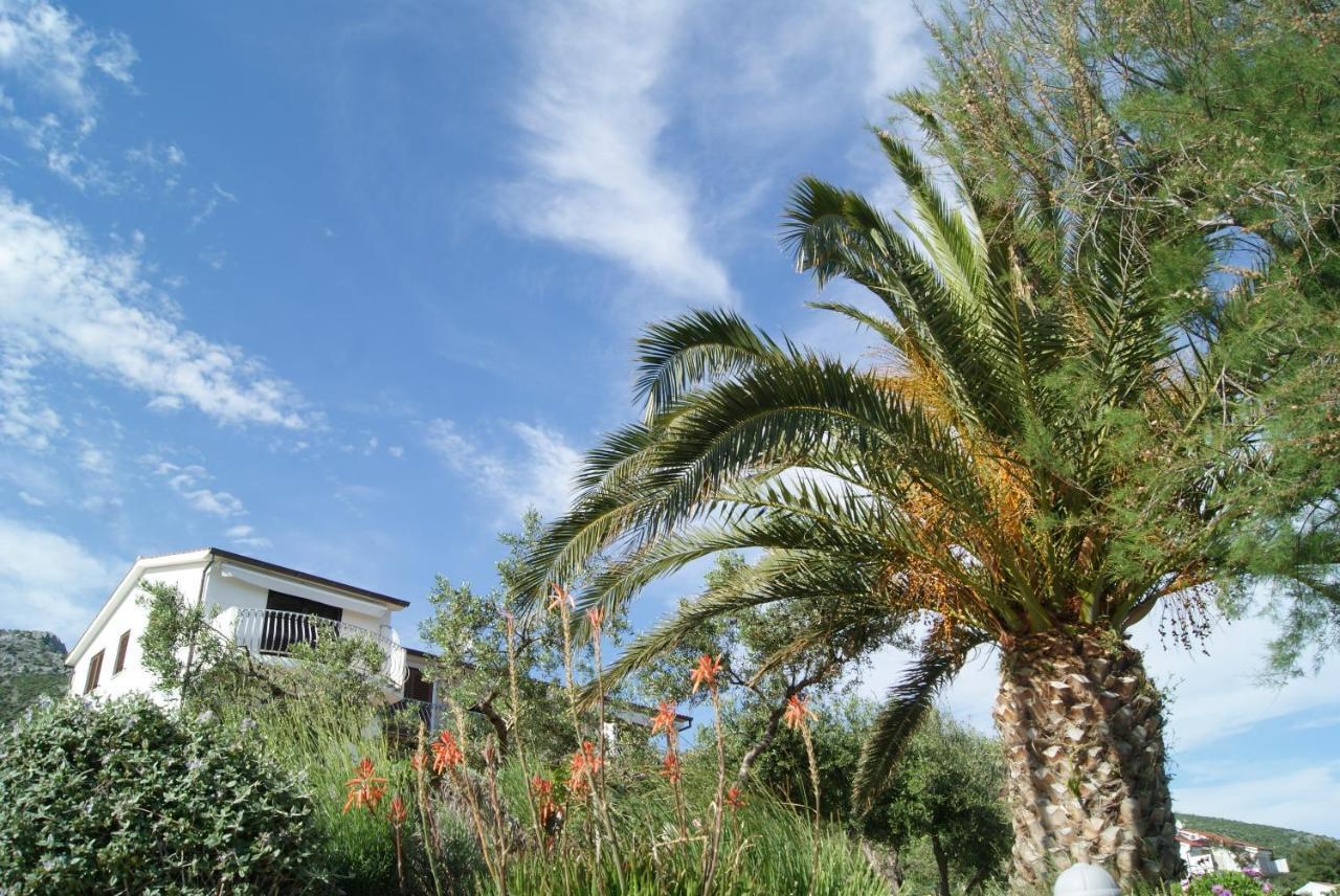 Apartments By The Sea Zavala, Hvar - 553 耶尔萨 外观 照片